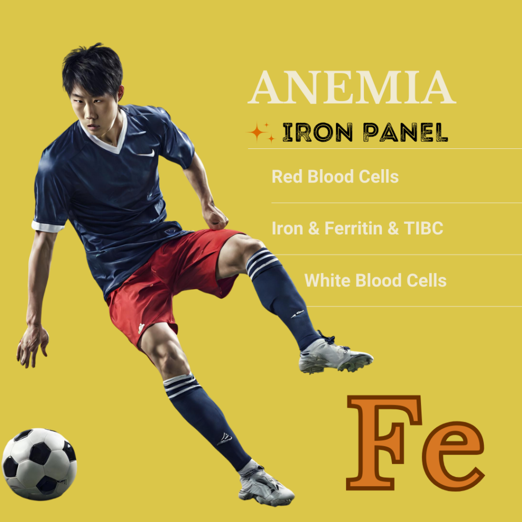 Iron Panel - Athlete Blood Test